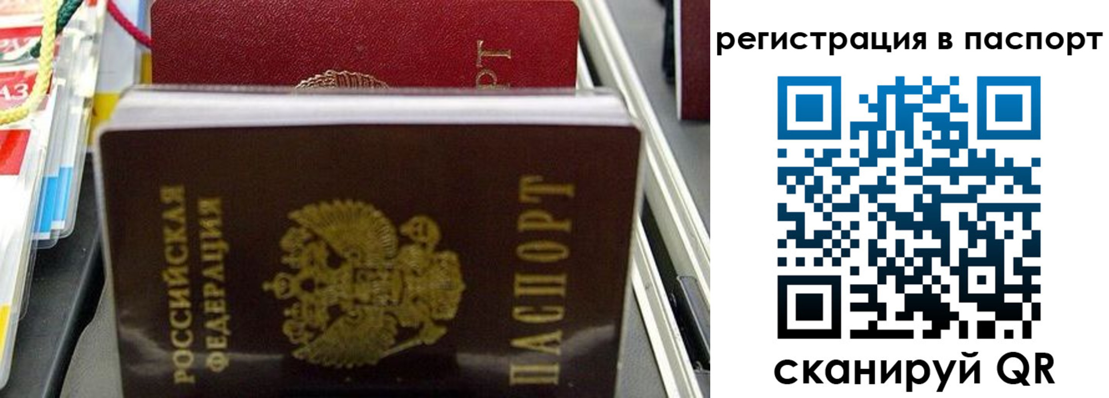 прописка для школы в Новопавловске